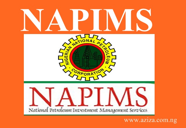 What is NAPIMS?