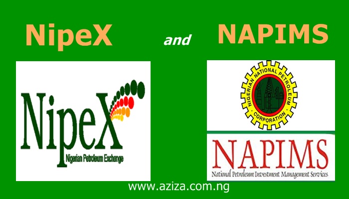 What is NipeX and NAPIMS