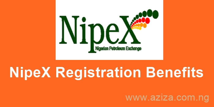 What is NipeX and Benefits of Registering with NipeX