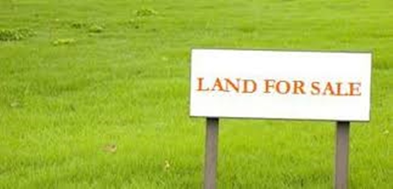 Lands and Properties for sale