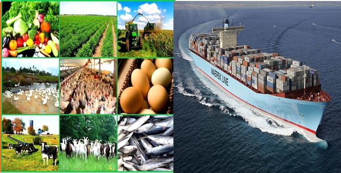 Foreigners Guide to Start a Business in Nigeria