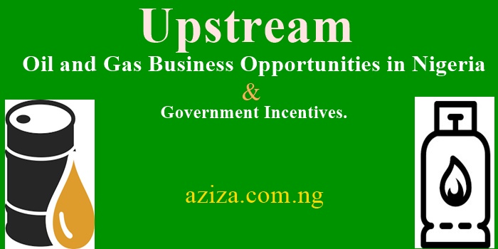 Upstream Oil and Gas Business Opportunities