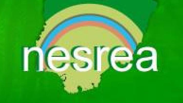 NESREA Application Process & Requirements
